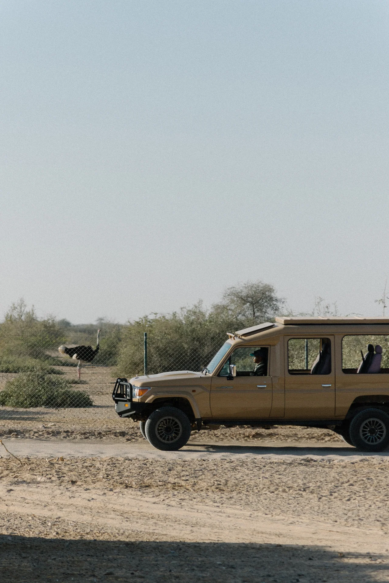 basharatyanv_SS26_lookbook_0F1A4369